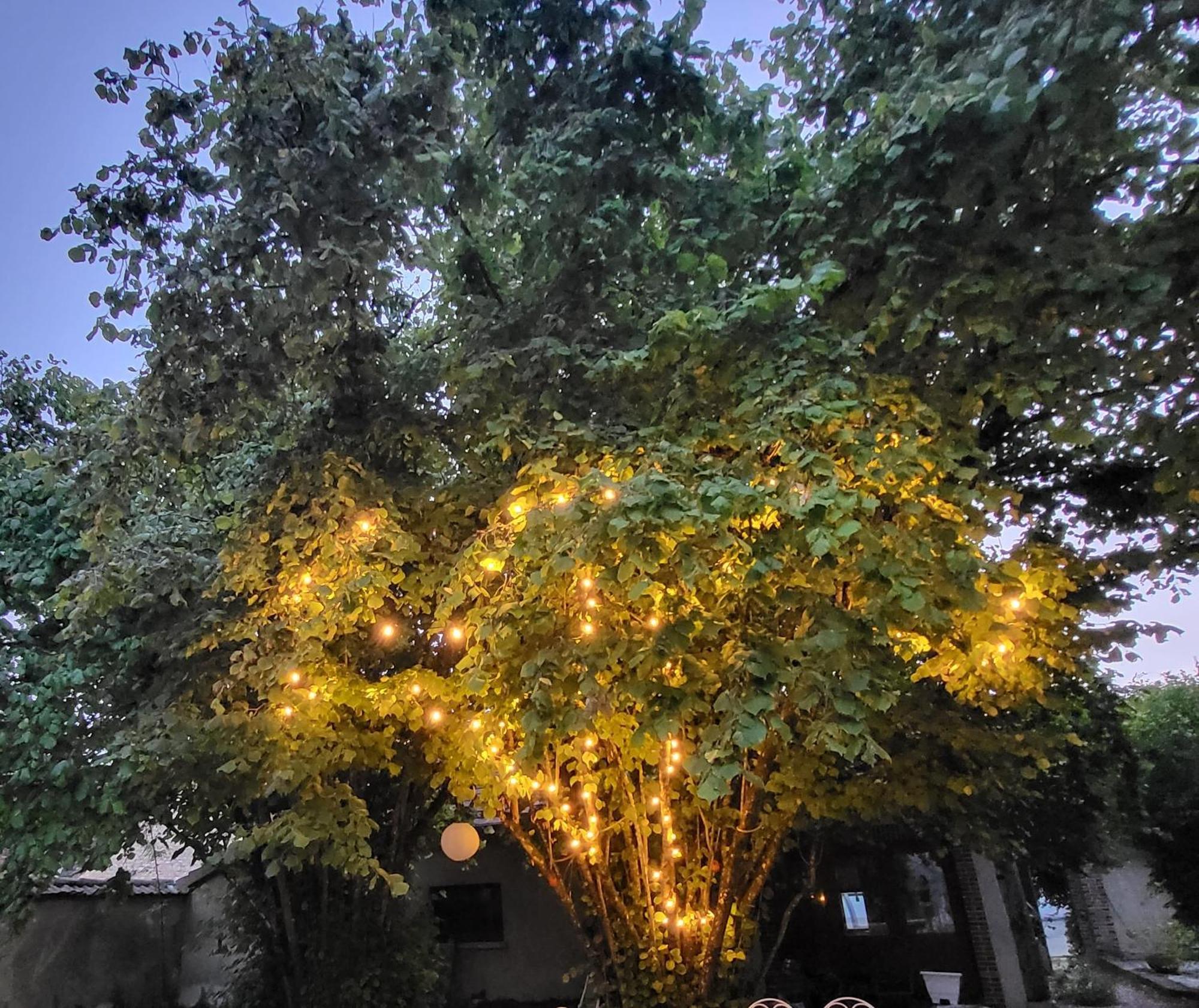 Bed and Breakfast La Demeure D'Othe Sormery Екстер'єр фото