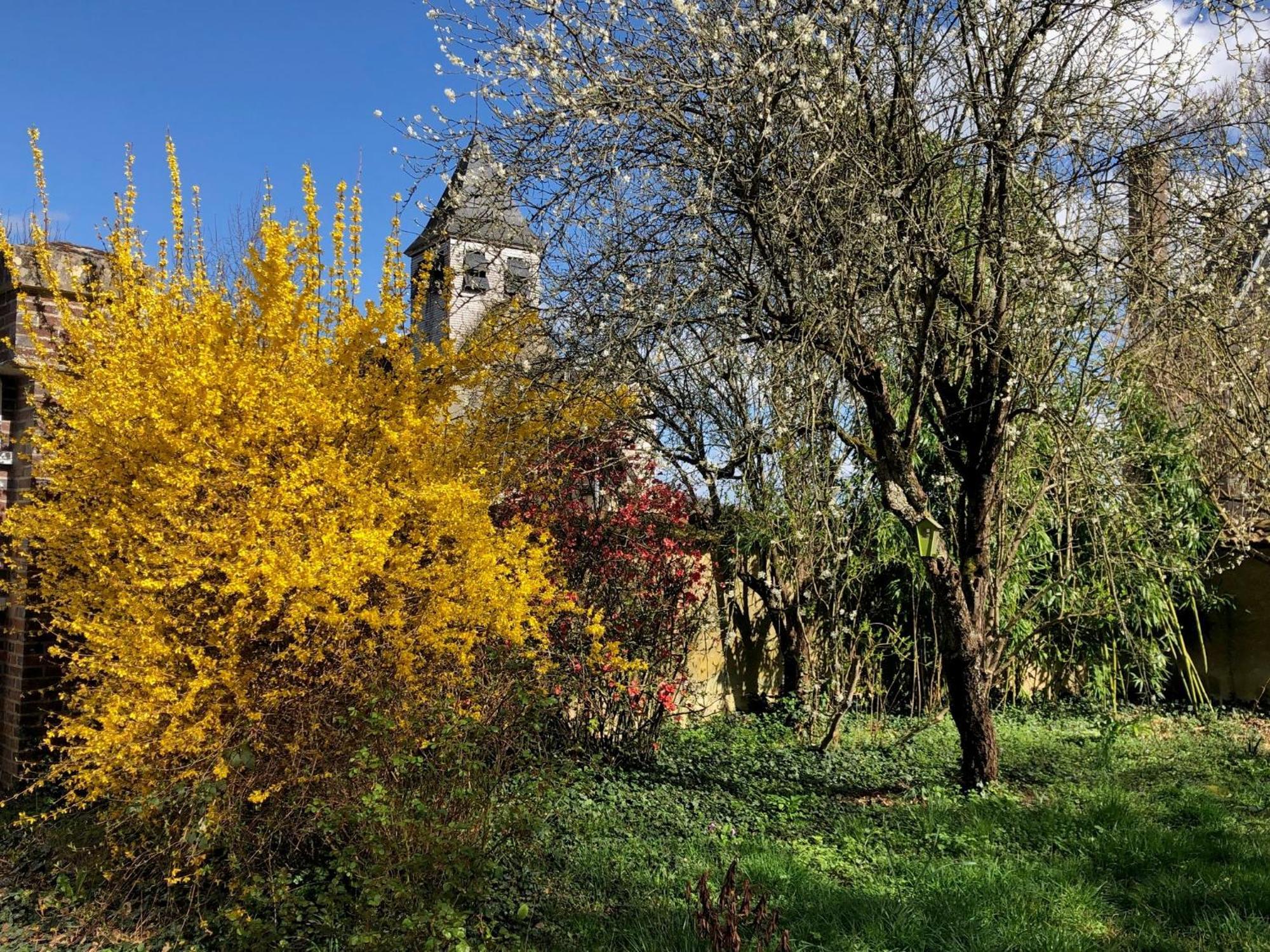 Bed and Breakfast La Demeure D'Othe Sormery Екстер'єр фото